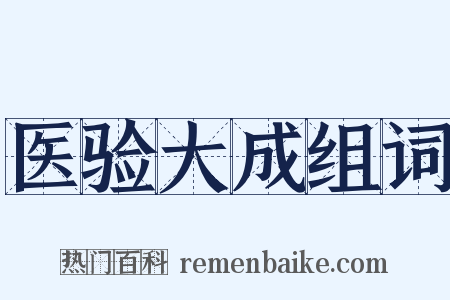医验大成组词是什么意思的图片